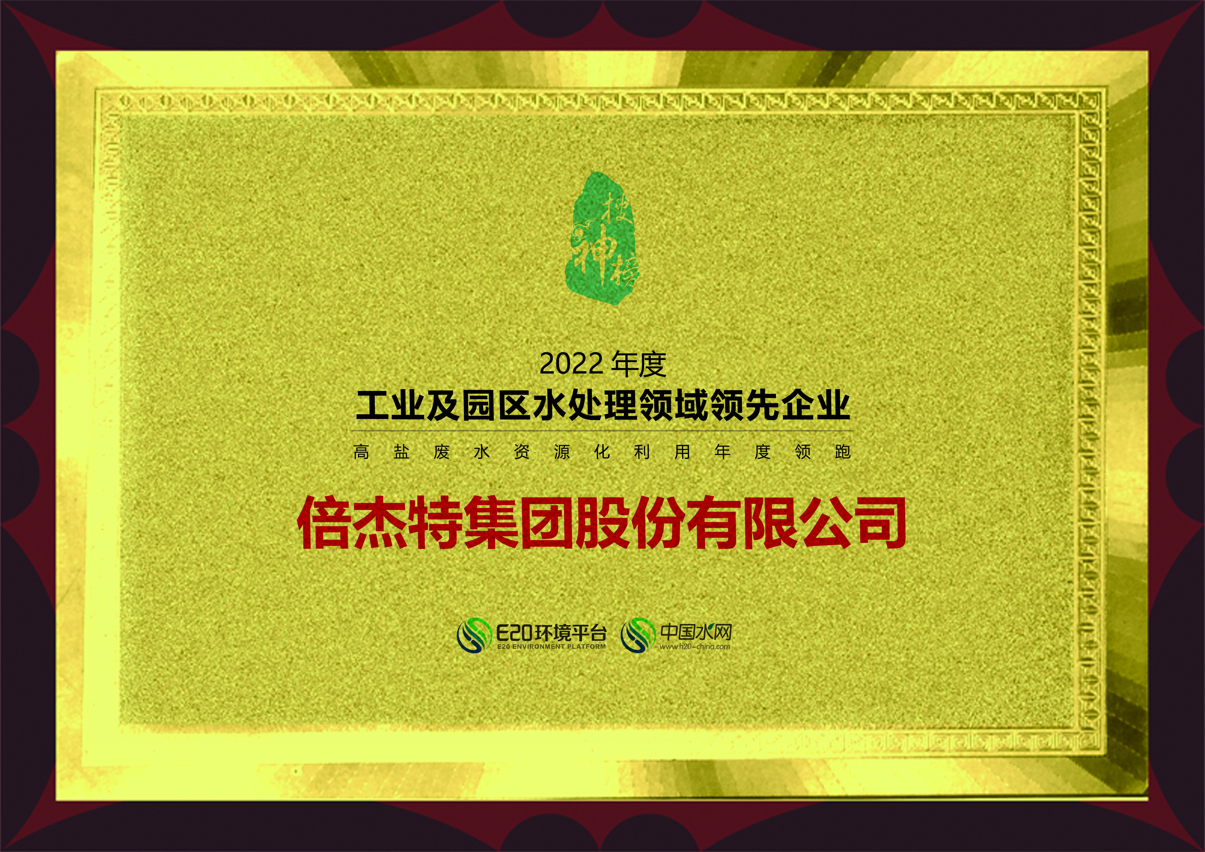 Leading Company in Industrial and Park Water Treatment - Leading Company of the Year in Zero Discharge of High Salt Wastewater, 2022