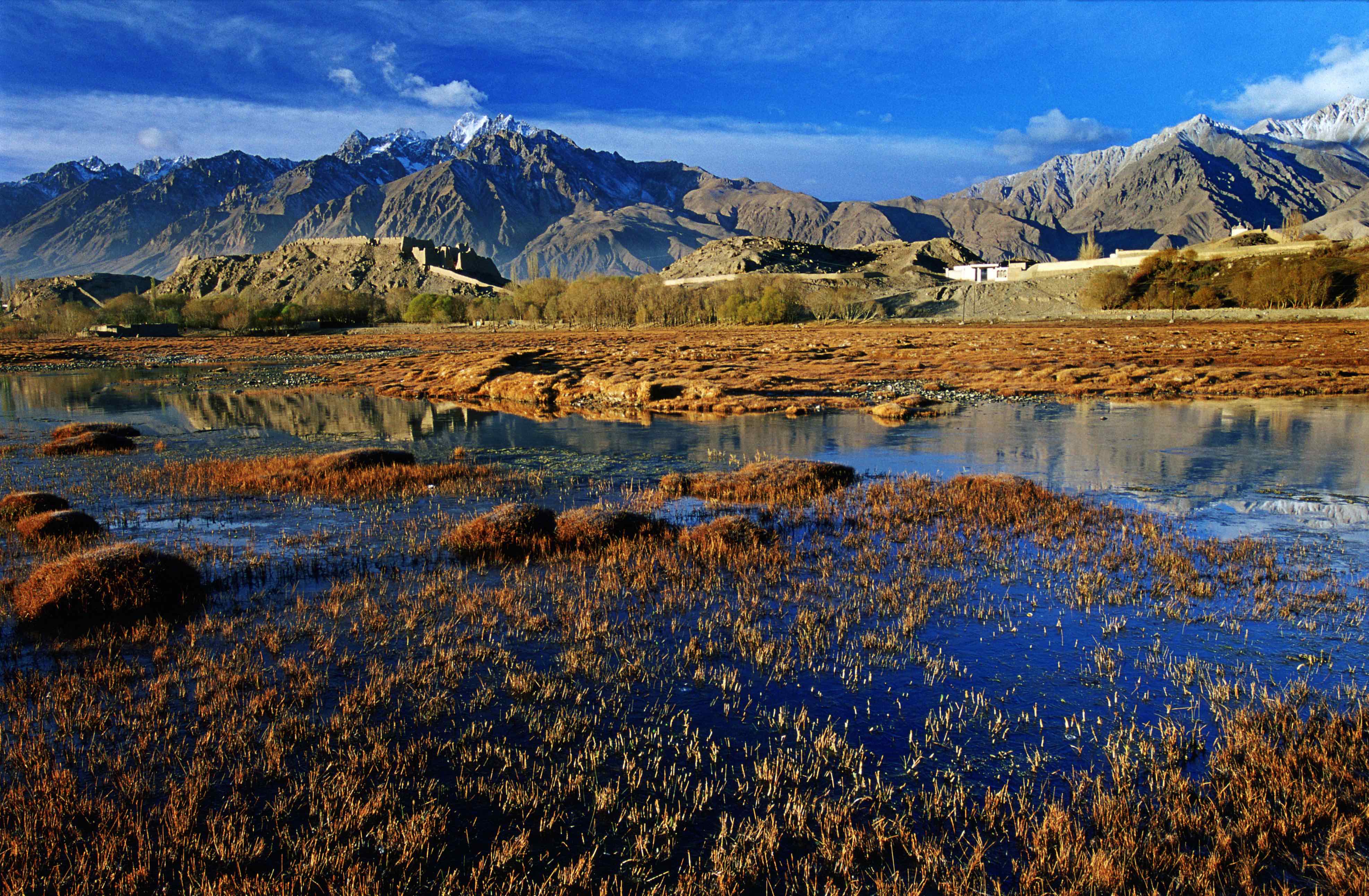 Beitoutiao | Within a week, Beijiete successfully won two copper mines!