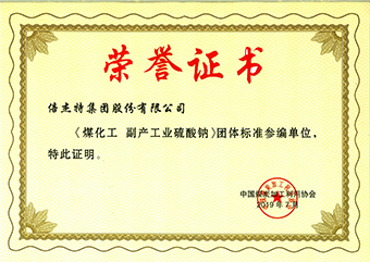 BGT Group Co., Ltd. coal chemical by-products of industrial sodium sulfate honorary certificate