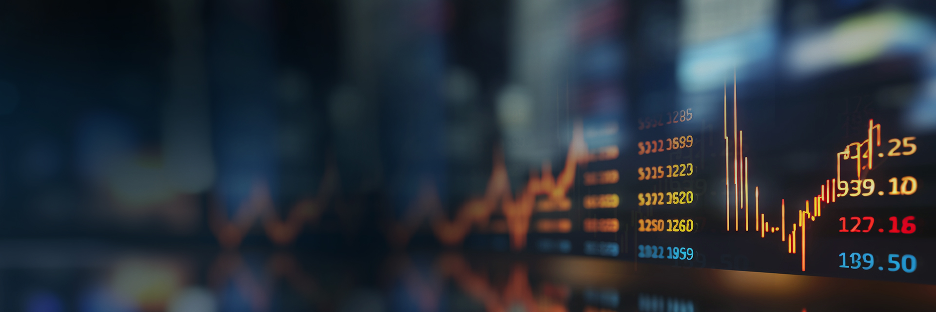 Investor Relations